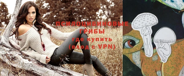 таблы Алзамай