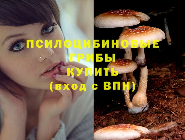 таблы Алзамай