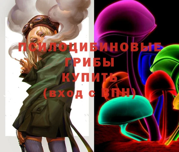 таблы Алзамай