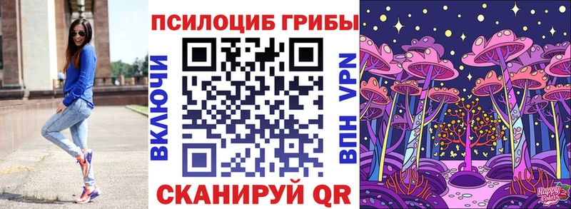 наркота Юрьевец Галлюциногенные грибы Cubensis